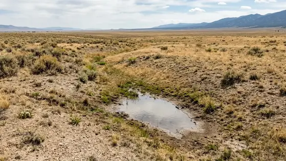 Undeveloped San Luis Valley acreage showing subtle ground contours, dry grasses, and a shallow natural drainage swale across open rural terrain