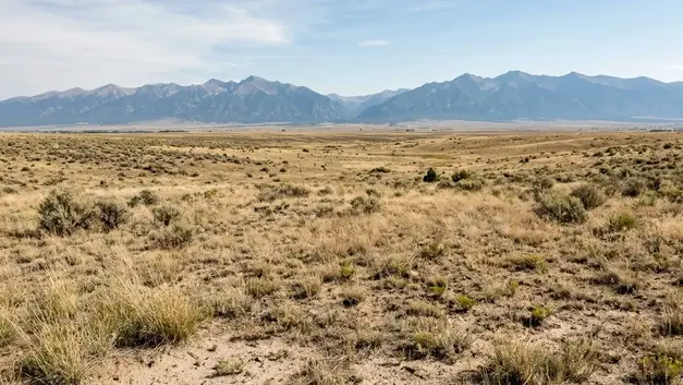 Open rural acreage in Colorado's San Luis Valley with dry native grasses, sparse sagebrush, distant mountain views, and broad undeveloped land