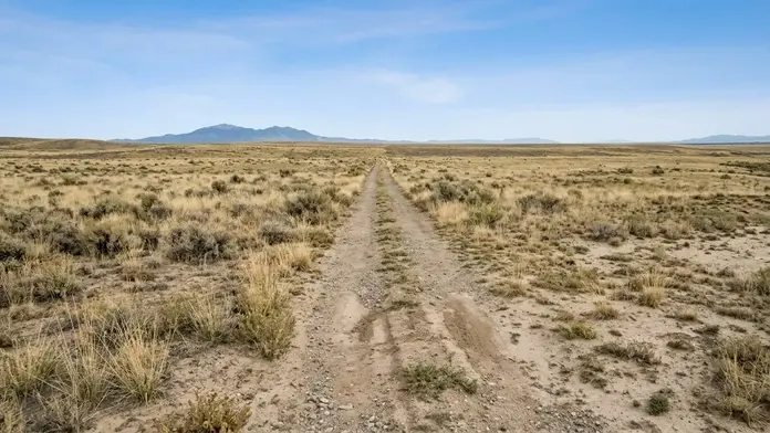 Open rural acreage in Costilla County, Colorado, with dry native grasses, a rough dirt and gravel property access track, sandy ground, and distant Sangre de Cristo foothills