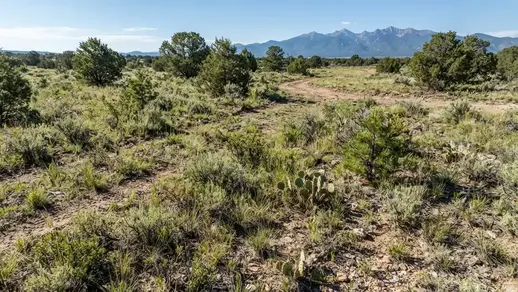 Undeveloped rural acreage in Costilla County Colorado before land clearing and site preparation