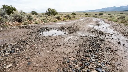 Close-up of damp gravel driveway showing tire impressions, minor rutting, and water accumulation after wet weather in Costilla County Colorado